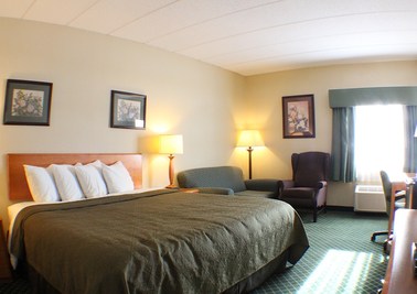 Dog-Friendly King Room